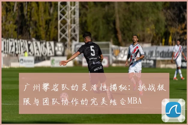 广州攀岩队的灵活性揭秘：挑战极限与团队协作的完美结合MBA