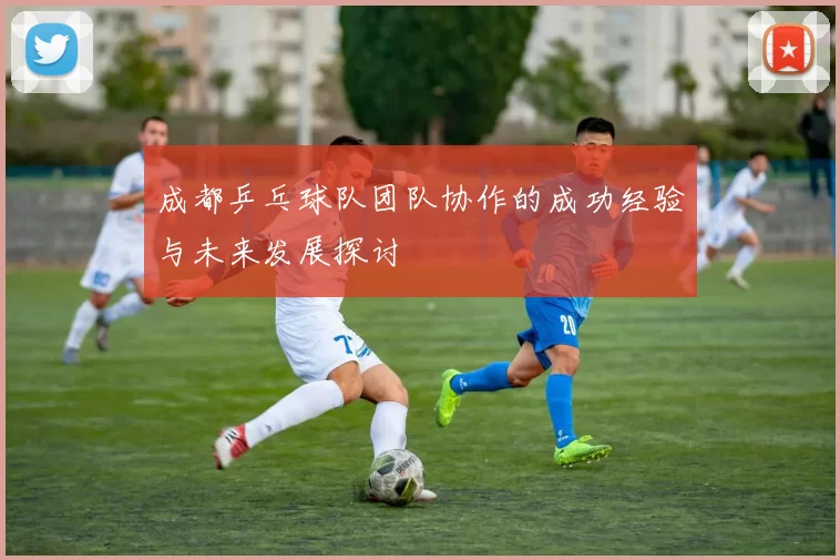 成都乒乓球队团队协作的成功经验与未来发展探讨