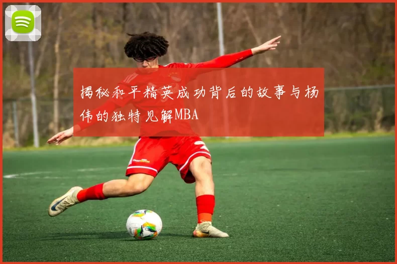 揭秘和平精英成功背后的故事与杨伟的独特见解MBA