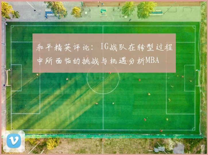 和平精英评论：IG战队在转型过程中所面临的挑战与机遇分析MBA