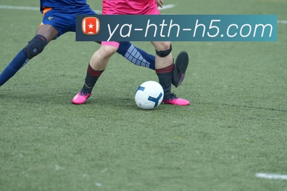 hth华体会平台生态图